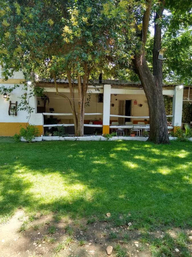 Finca El Naranjo Séville Extérieur photo